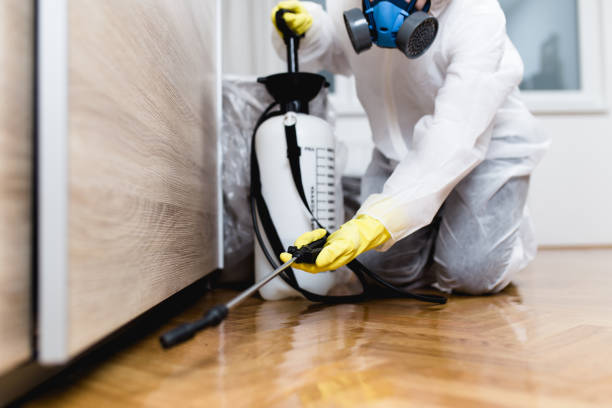 Best Pest Control Near Me in Center Point, TX