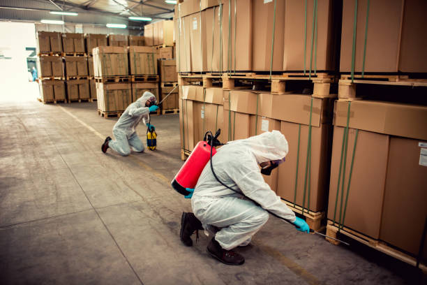 Best Best Pest Control Near Me  in Center Point, TX