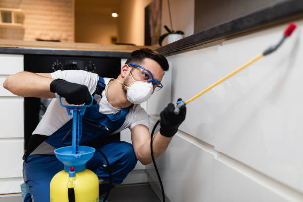 Best Emergency Pest Control  in Center Point, TX