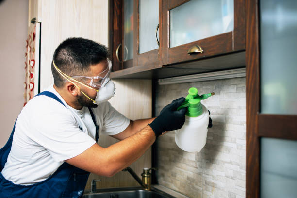 Best Commercial Pest Control Services  in Center Point, TX