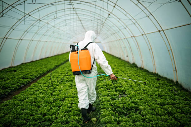 Best Pest Prevention Services  in Center Point, TX