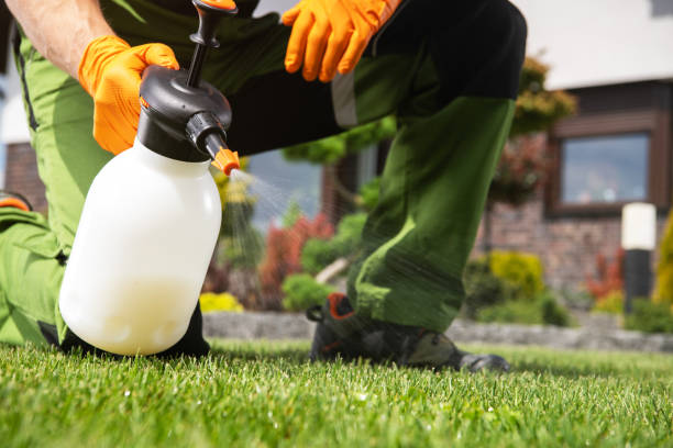 Best Best Pest Control Companies  in Center Point, TX