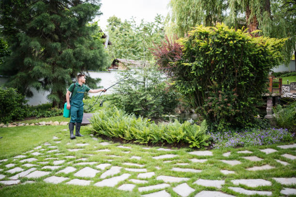 Best Pest Removal Services  in Center Point, TX