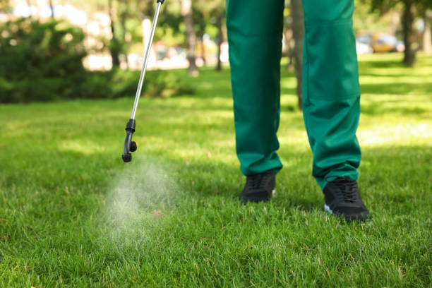 Best Pest Inspection Near Me  in Center Point, TX