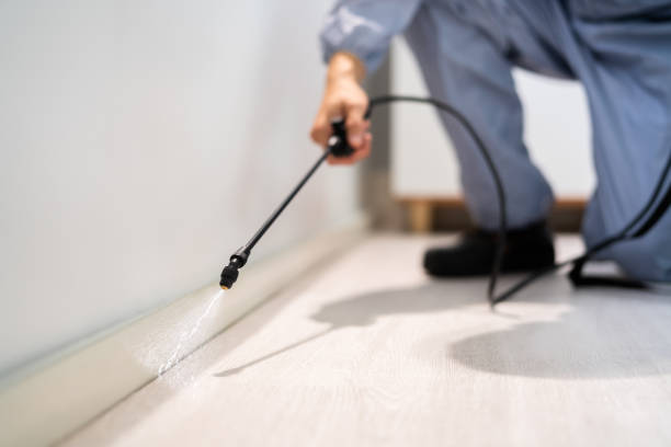 Reliable Center Point, TX Pest Control Solutions