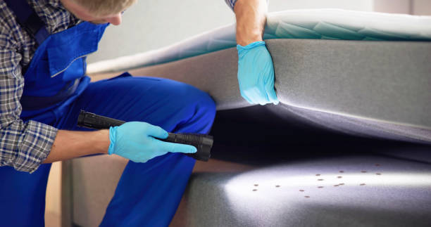 Best Exterminator Services  in Center Point, TX