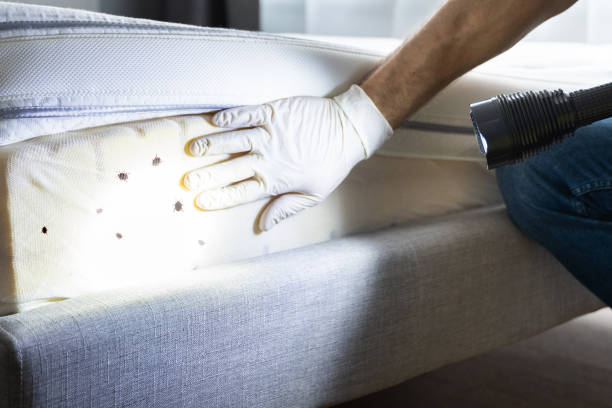 Best Pest Removal Services  in Center Point, TX