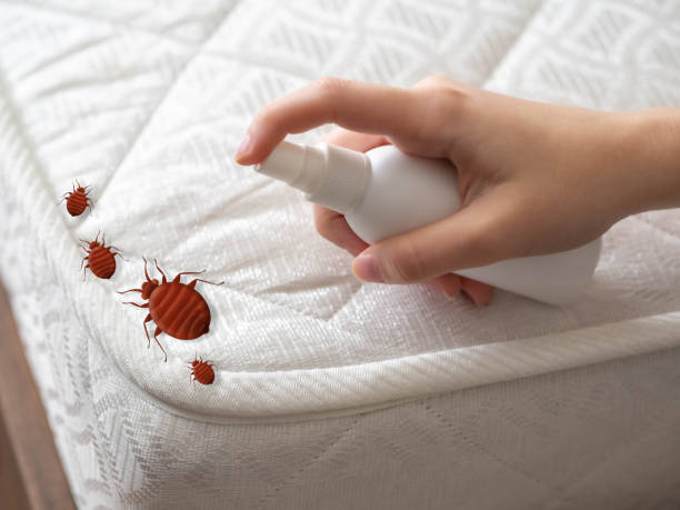 Best Mosquito Control Services  in Center Point, TX