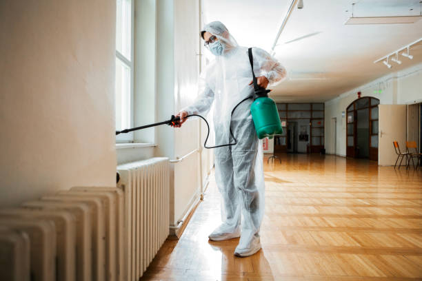 Best Flea Control Services  in Center Point, TX