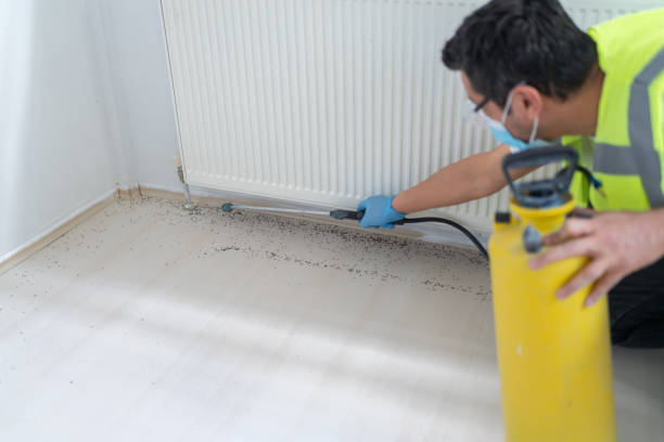 Best Wasp Removal Services  in Center Point, TX
